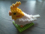paddybird2010-08-13