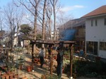 pccgarden2008-02-09