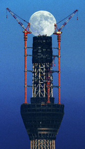 pikarrr2010-10-30 pikarrr2010-10-30