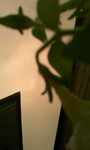 poker-82y2009-06-23