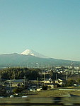 quelo42011-02-22