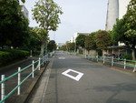 西和泉二丁目 都営多摩川住宅 団地内 西和泉二丁目 都営多摩川住宅 団地内