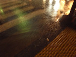 路側にできた雨の川　街の灯