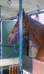sanzo20043212008-02-09 sanzo20043212008-02-09