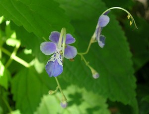 shig552010-08-23 shig552010-08-23