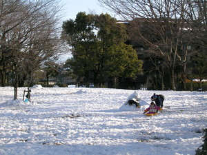 公園の雪遊び 公園の雪遊び