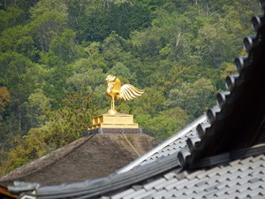 [姫路・京都の旅]金閣寺2015年4月24日
