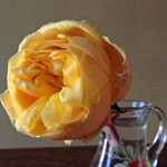 グラハム・トーマス