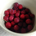 ジューンベリー ジューンベリー