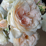 セバスチャンクナイプ セバスチャンクナイプ