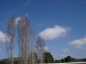 もうすぐ春 もうすぐ春