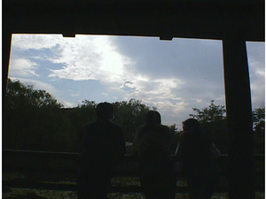 だんだん春っぽく