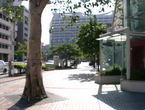 ボケて無いかなｗ