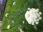 ss-dd-aa2012-06-15
