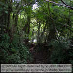 studio_unicorn20090709 studio_unicorn20090709