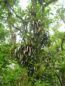 sugao2004-12-03