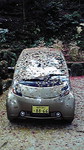sumireneko2009-12-03 sumireneko2009-12-03