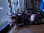 syntax_error3032013-07-01