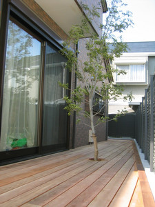 syukugawa2005-04-28