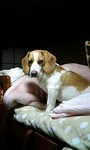 tajinko2012-02-14