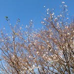 takase222014-10-20 takase222014-10-20