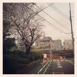 tokyomoon2015-04-09 tokyomoon2015-04-09