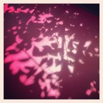 tokyomoon2015-04-23 tokyomoon2015-04-23