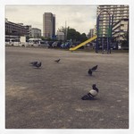 tokyomoon2015-05-01 tokyomoon2015-05-01