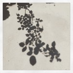 tokyomoon2015-05-14 tokyomoon2015-05-14