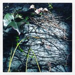 tokyomoon2017-11-10 tokyomoon2017-11-10