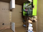 tomoratan2014-09-01
