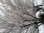 tomoratan2014-12-08