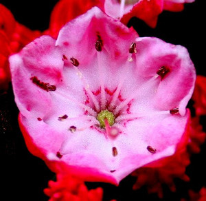 toumeioj32006-05-26 toumeioj32006-05-26