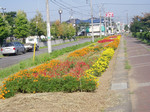 toyotoki112006-09-05