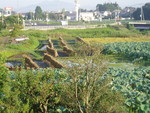 toyotoki112008-09-12