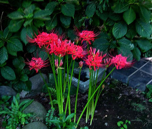 uumin32005-09-27 uumin32005-09-27