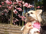 wataru-w2008-03-17 wataru-w2008-03-17