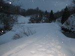 一面の雪 一面の雪