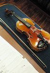 y_dai2006-07-08