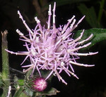 yahara2007-11-11 yahara2007-11-11