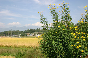 yatsugatake2006-09-30