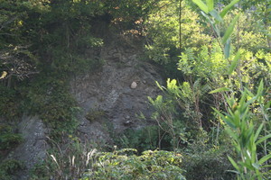 岩山に、「スズメバチ」の巣。 岩山に、「スズメバチ」の巣。
