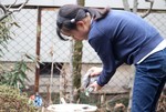 餌場に、古米を…。 餌場に、古米を…。