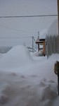 yokopucca2012-12-09