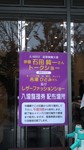 yoshichabin2012-11-17 yoshichabin2012-11-17