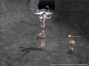 私と白たるるん 私と白たるるん