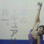 ytRino2008-12-19 ytRino2008-12-19