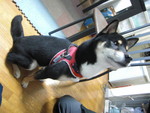yukijirou2009-02-16 yukijirou2009-02-16